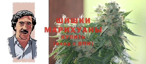 мдпв Надым
