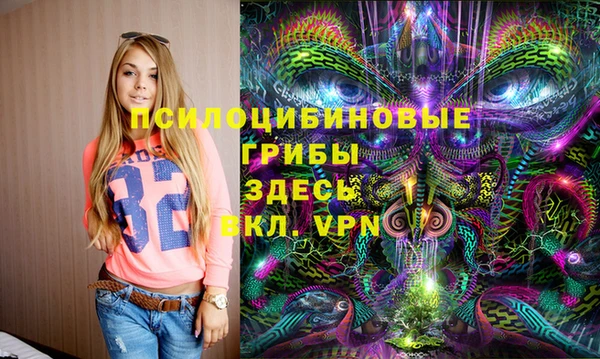 гидра Навашино