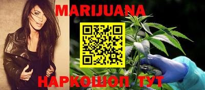 сатива Аргун