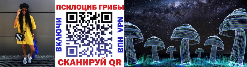 mega рабочий сайт  Баксан  Галлюциногенные грибы Cubensis 
