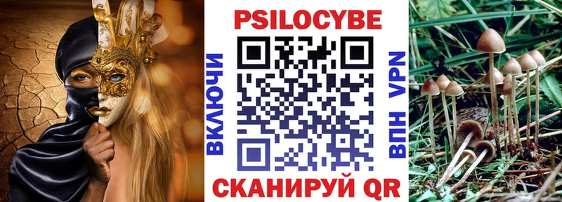 Галлюциногенные грибы прущие грибы Баксан