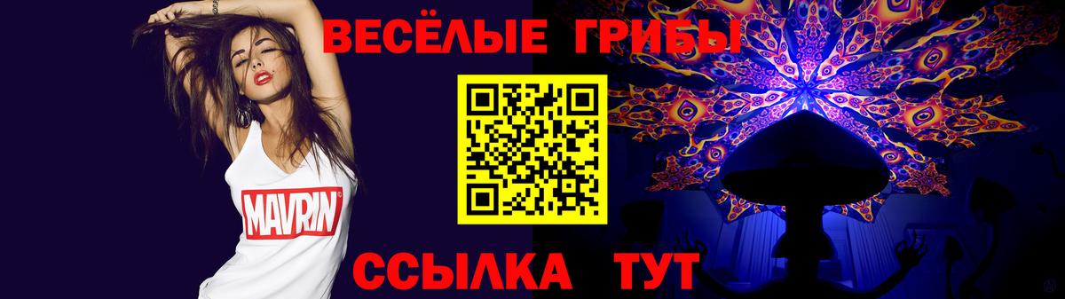 Псилоцибиновые грибы Cubensis Баксан